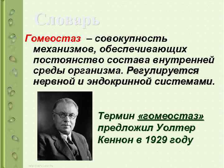 Словарь Гомеостаз – совокупность механизмов, обеспечивающих постоянство состава внутренней среды организма. Регулируется нервной и