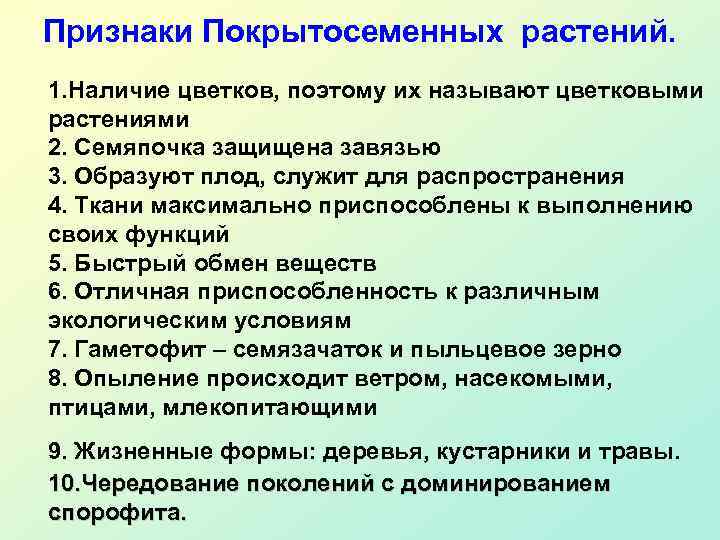  Признаки Покрытосеменных растений. 1. Наличие цветков, поэтому их называют цветковыми растениями 2. Семяпочка