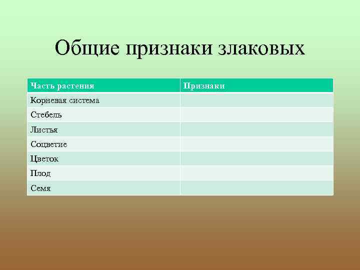 Общие признаки злаковых Часть растения Корневая система Стебель Листья Соцветие Цветок Плод Семя Признаки