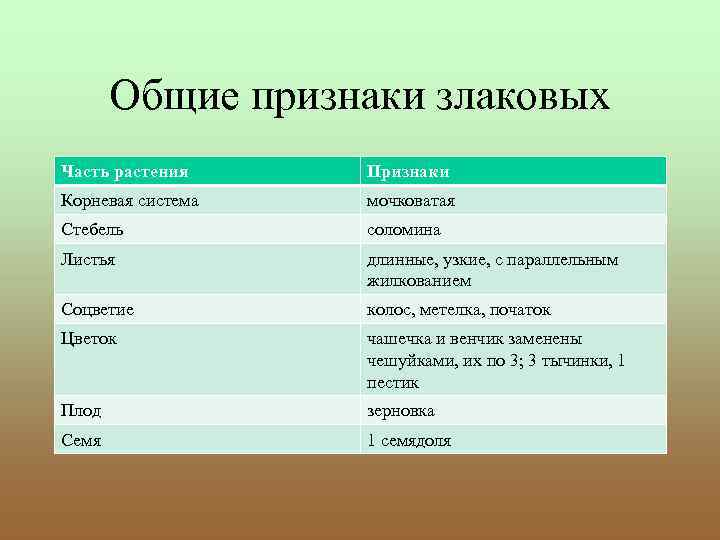 Общие признаки злаковых Часть растения Признаки Корневая система мочковатая Стебель соломина Листья длинные, узкие,