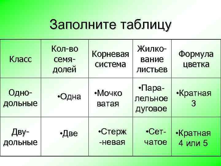 Заполните таблицу Класс Кол-во семядолей Однодольные • Одна Двудольные • Две Жилко. Корневая вание