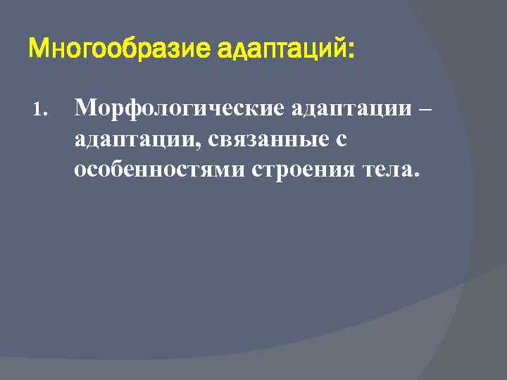 Многообразие адаптаций: 1. Морфологические адаптации – адаптации, связанные с особенностями строения тела. 