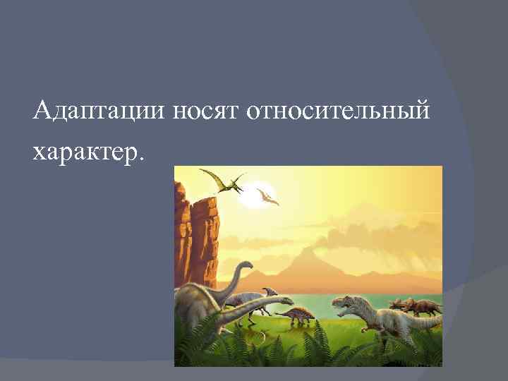 Адаптации носят относительный характер. 