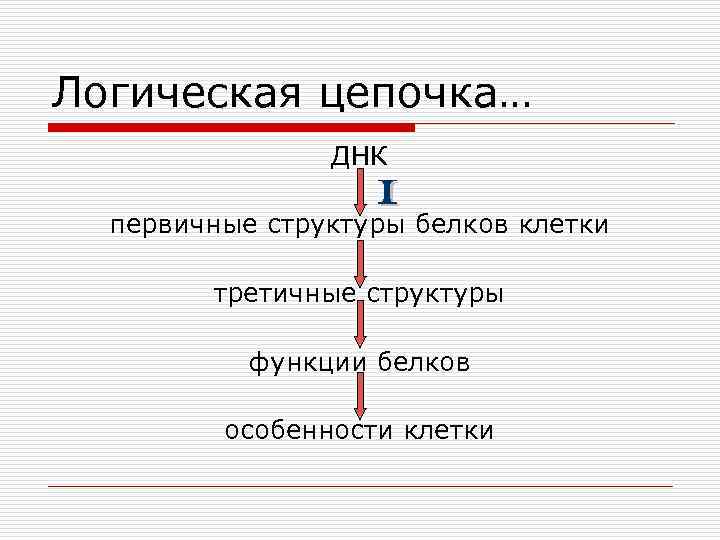 Логическая цепочка… ДНК первичные структуры белков клетки третичные структуры функции белков особенности клетки 