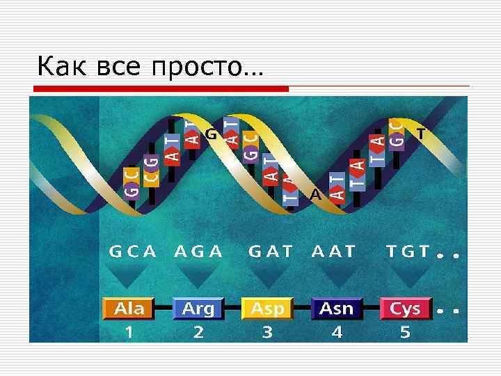 Как все просто… 