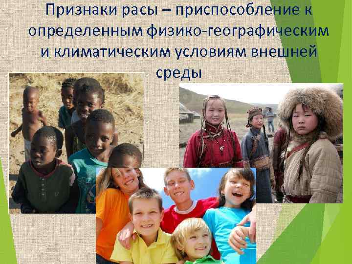 Признаки расы – приспособление к определенным физико-географическим и климатическим условиям внешней среды 