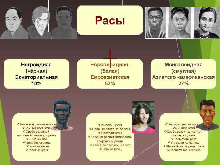 Расы человека презентация 9 класс