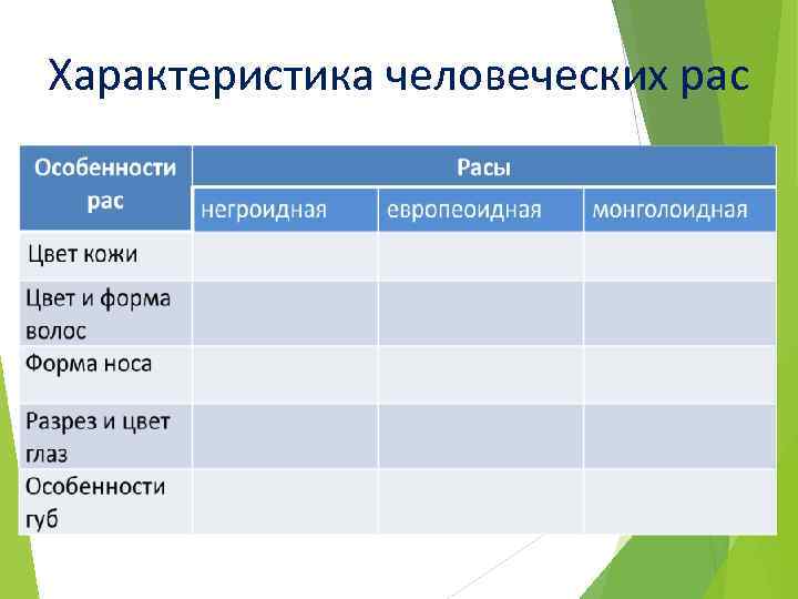 Характеристика человеческих рас 