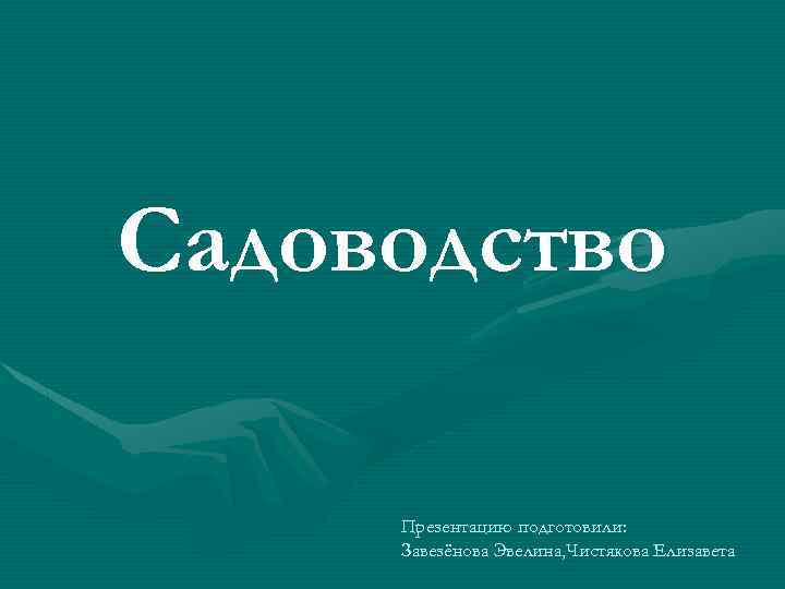Cадоводство Презентацию подготовили: Завезёнова Эвелина, Чистякова Елизавета 