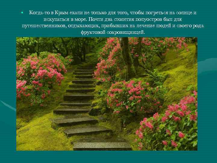  • Когда-то в Крым ехали не только для того, чтобы погреться на солнце