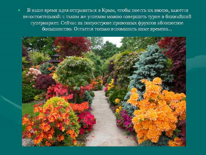  • В наше время идея отправиться в Крым, чтобы поесть их вволю, кажется