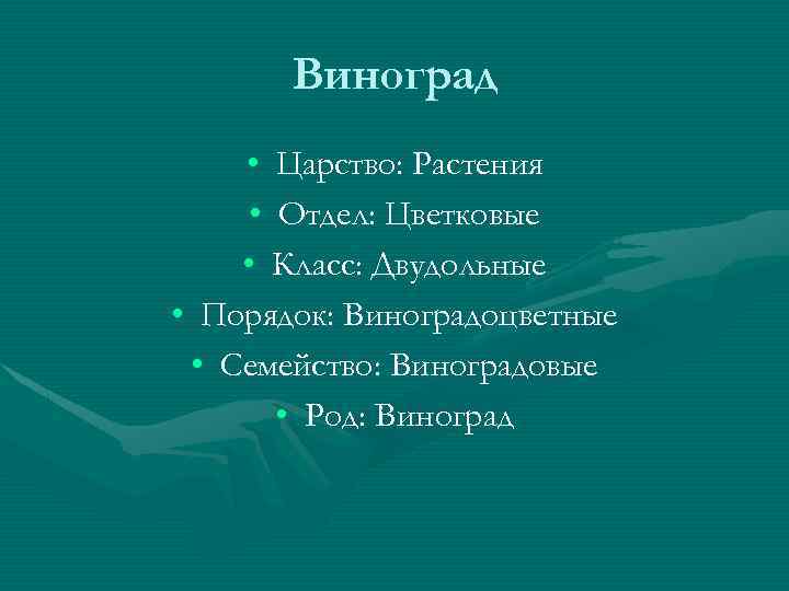 Виноград • Царство: Растения • Отдел: Цветковые • Класс: Двудольные • Порядок: Виноградоцветные •