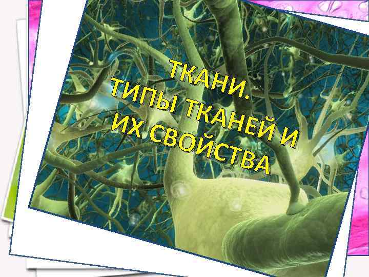 ТКАН И. ТИПЫ ТКАН ИХ С ЕЙ И ВОЙ СТВА 