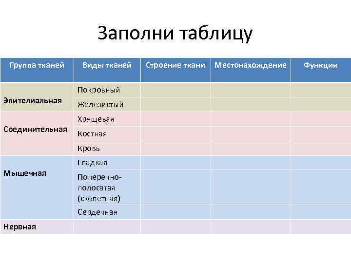 Заполни таблицу Группа тканей Эпителиальная Соединительная Виды тканей Покровный Железистый Хрящевая Костная Кровь Мышечная