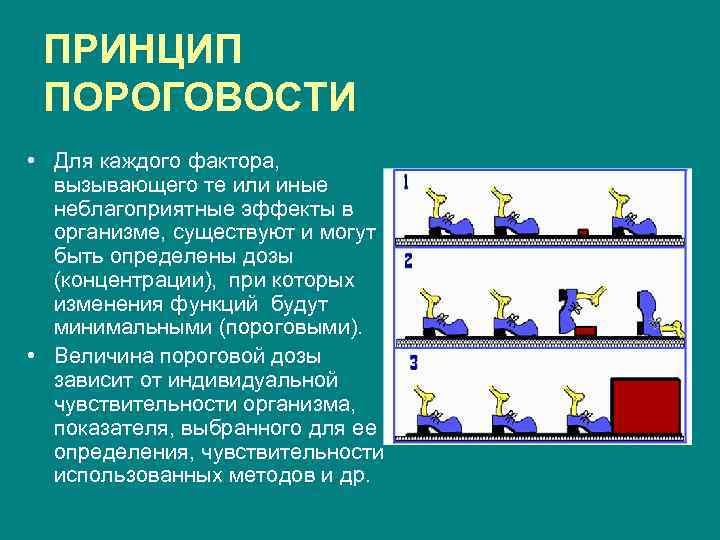 ПРИНЦИП ПОРОГОВОСТИ • Для каждого фактора, вызывающего те или иные неблагоприятные эффекты в организме,