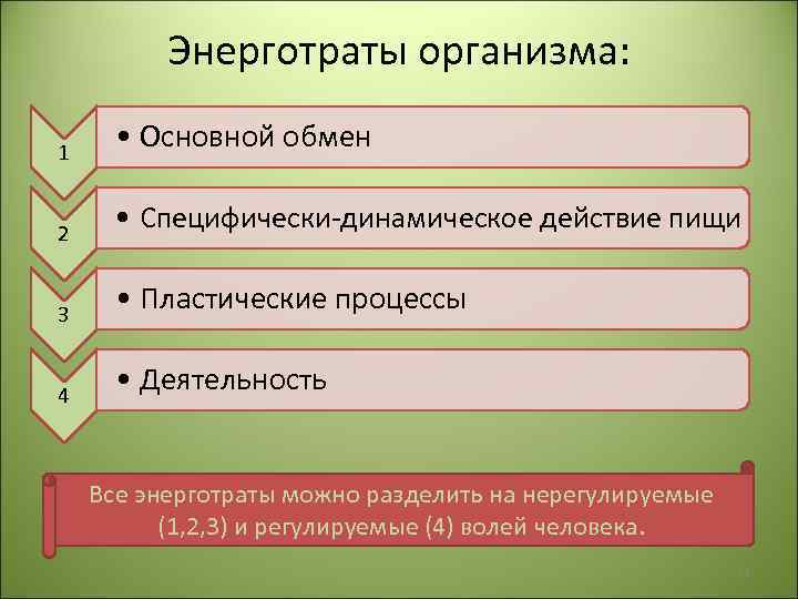 Энерготраты организма: 1 2 • Основной обмен • Специфически-динамическое действие пищи 3 • Пластические