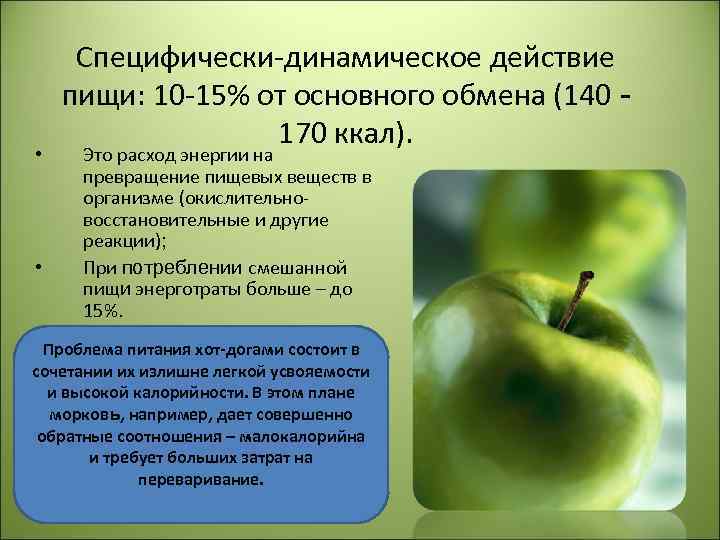  • • Специфически-динамическое действие пищи: 10 -15% от основного обмена (140 170 ккал).