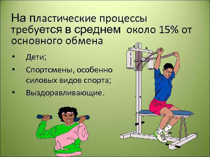 На пластические процессы требуется в среднем около 15% от основного обмена • • •