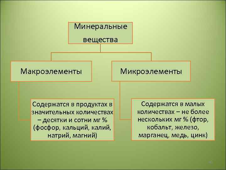 Минеральные вещества Макроэлементы Содержатся в продуктах в значительных количествах – десятки и сотни мг