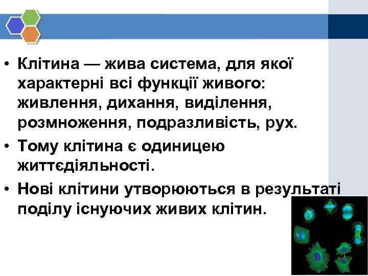  • Клітина — жива система, для якої характерні всі функції живого: живлення, дихання,