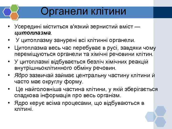 Органели клітини • Усередині міститься в'язкий зернистий вміст — цитоплазма. • У цитоплазму занурені