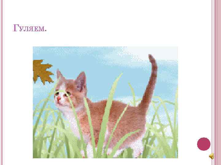 ГУЛЯЕМ. 