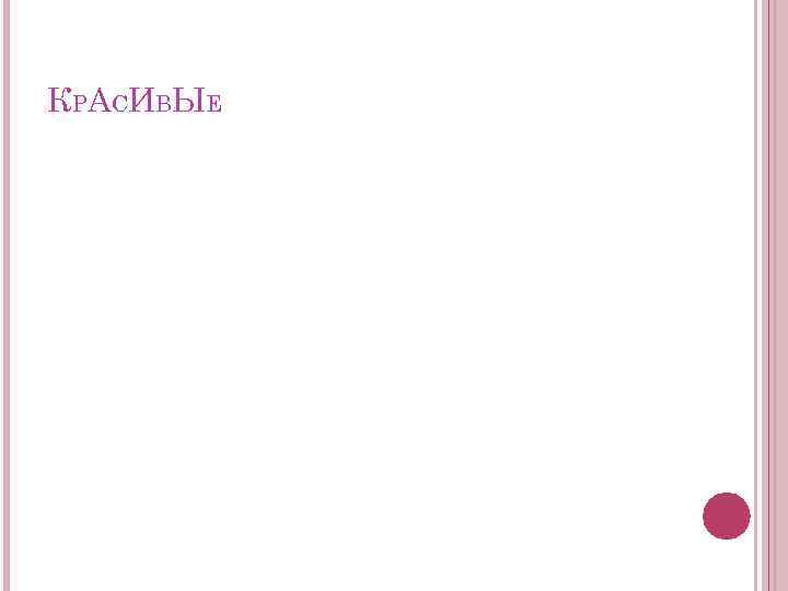К Р А СИ ВЫ Е 
