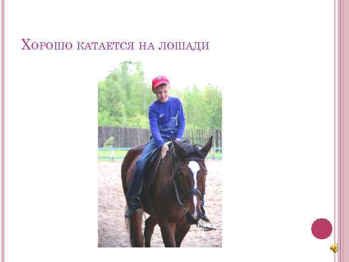 ХОРОШО КАТАЕТСЯ НА ЛОШАДИ 