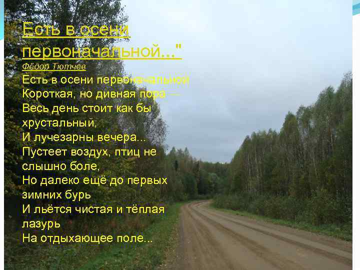 Есть в осени первоначальной. . . 