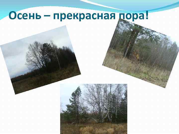 Осень – прекрасная пора! 