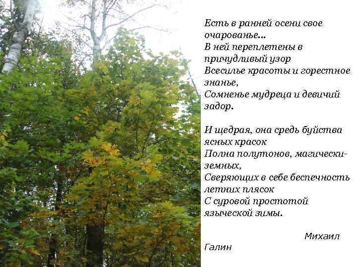 Есть в ранней осени свое очарованье. . . В ней переплетены в причудливый узор