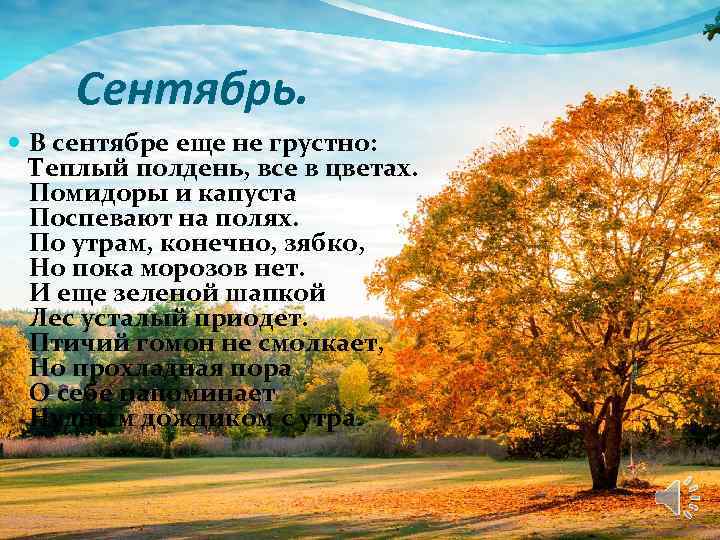 Сентябрь. В сентябре еще не грустно: Теплый полдень, все в цветах. Помидоры и капуста