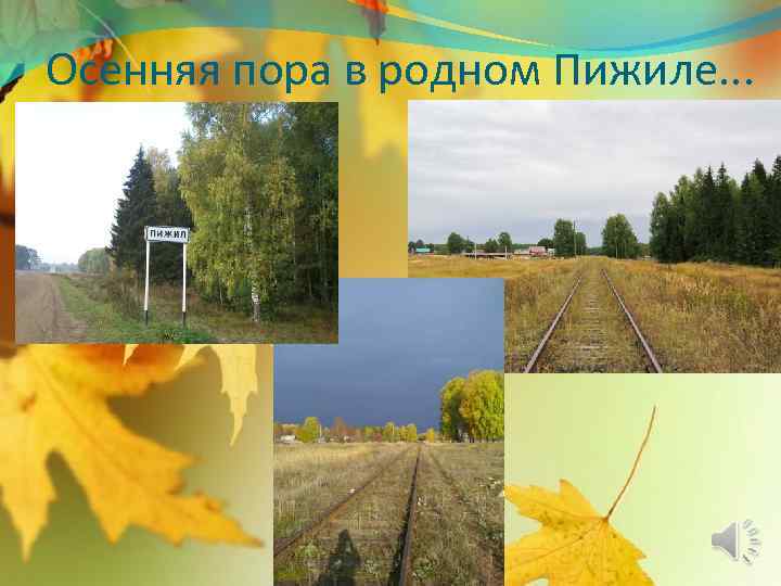 Осенняя пора в родном Пижиле. . . 