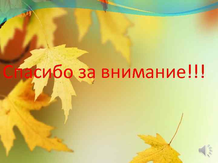 Спасибо за внимание!!! 