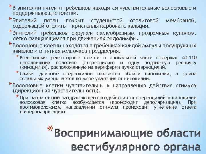 * В эпителии пятен и гребешков находятся чувствительные волосковые и поддерживающие клетки. * Эпителий