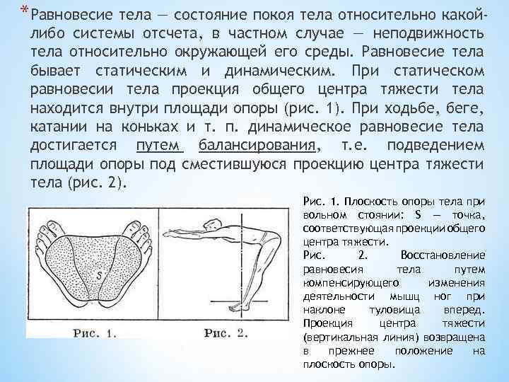 *Равновесие тела — состояние покоя тела относительно какойлибо системы отсчета, в частном случае —