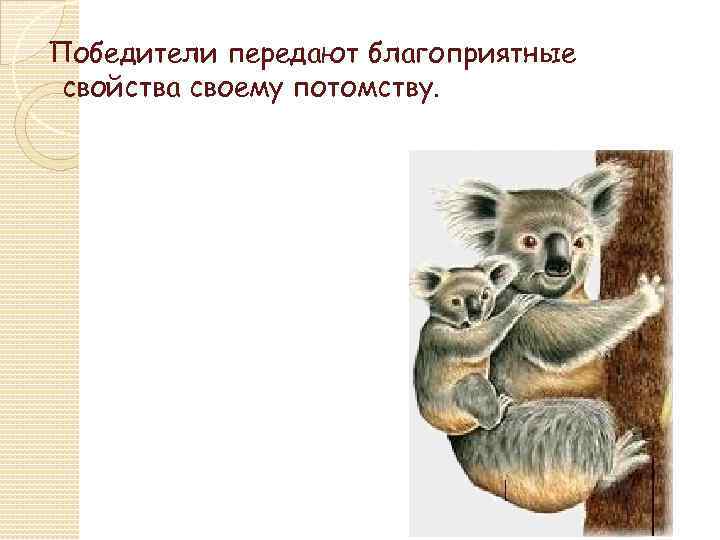 Победители передают благоприятные свойства своему потомству. 