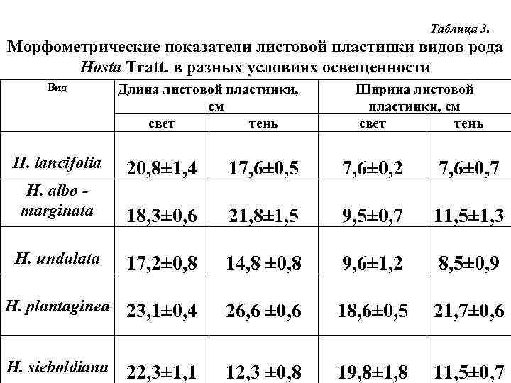 Таблица 3. Морфометрические показатели листовой пластинки видов рода Hosta Tratt. в разных условиях освещенности