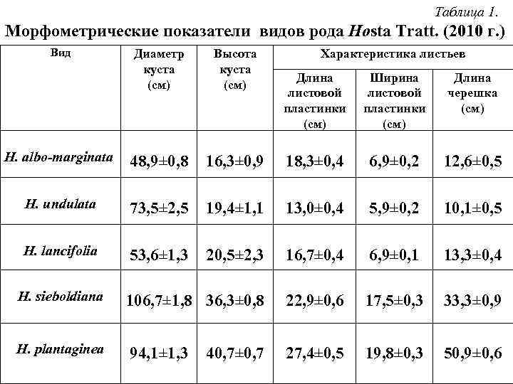 Таблица 1. Морфометрические показатели видов рода Hosta Tratt. (2010 г. ) Вид Диаметр куста