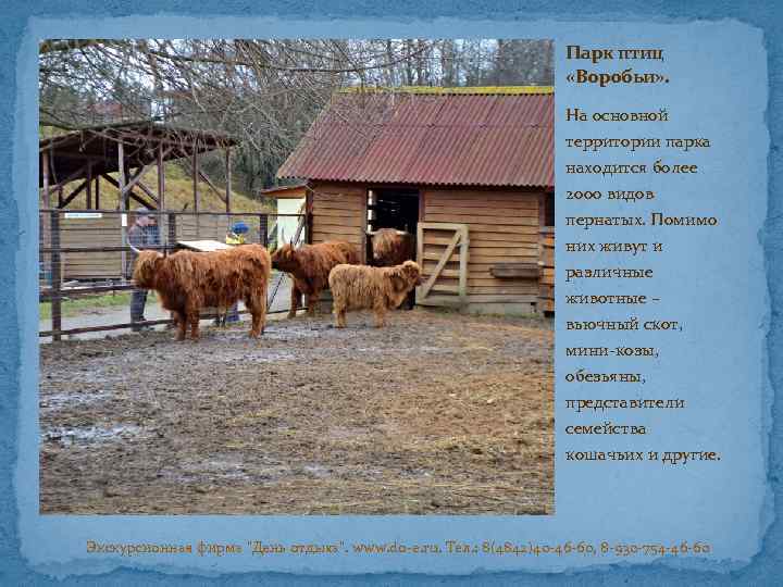 Парк птиц «Воробьи» . На основной территории парка находится более 2000 видов пернатых. Помимо
