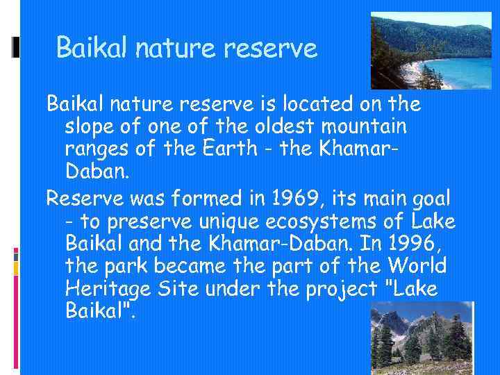 Baikal nature reserve is located on the slope of one of the oldest mountain