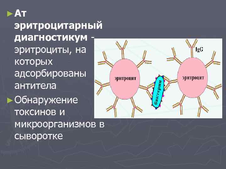 Токсин в обнаружен