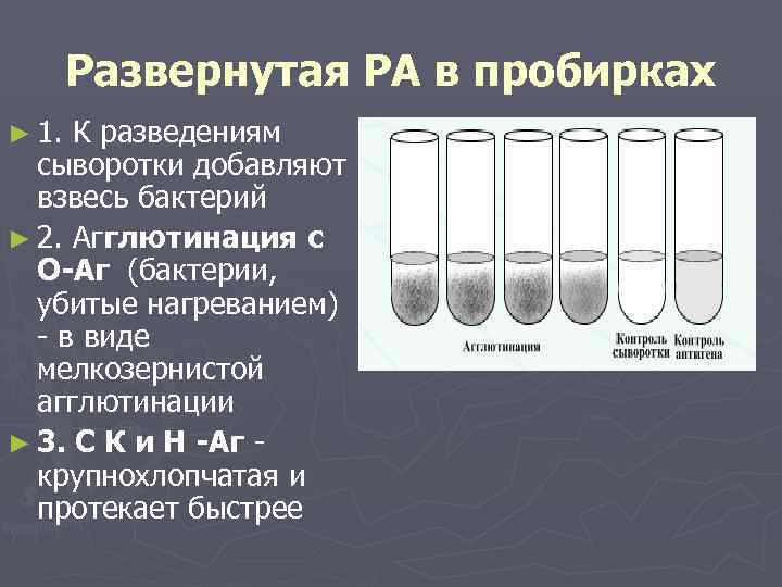 Стандартная взвесь