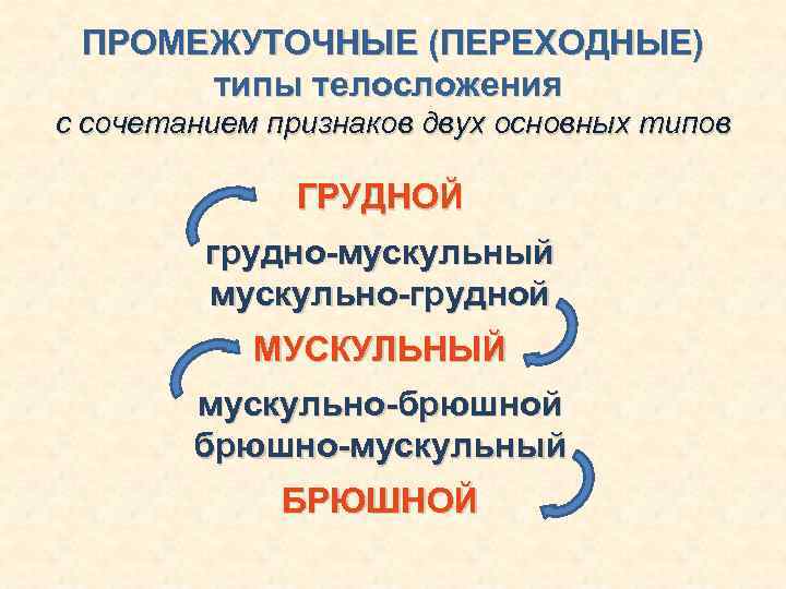 ПРОМЕЖУТОЧНЫЕ (ПЕРЕХОДНЫЕ) типы телосложения с сочетанием признаков двух основных типов ГРУДНОЙ грудно-мускульный мускульно-грудной МУСКУЛЬНЫЙ