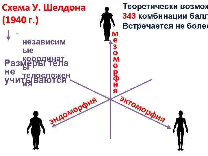 Схема У. Шелдона (1940 г. ) - независим ые координат Размеры тела ы не