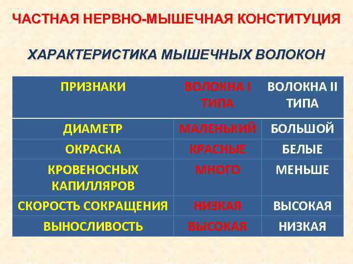 ЧАСТНАЯ НЕРВНО-МЫШЕЧНАЯ КОНСТИТУЦИЯ ХАРАКТЕРИСТИКА МЫШЕЧНЫХ ВОЛОКОН ПРИЗНАКИ ВОЛОКНА II ТИПА ДИАМЕТР МАЛЕНЬКИЙ ОКРАСКА КРАСНЫЕ