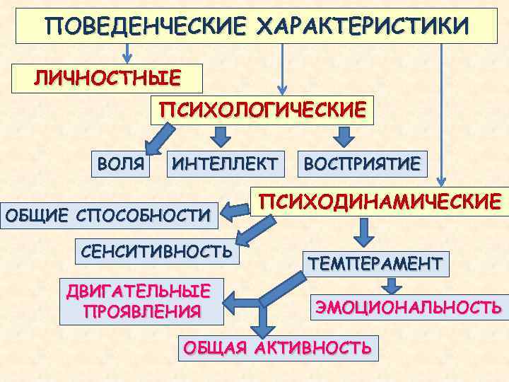 ПОВЕДЕНЧЕСКИЕ ХАРАКТЕРИСТИКИ ЛИЧНОСТНЫЕ ПСИХОЛОГИЧЕСКИЕ ВОЛЯ ИНТЕЛЛЕКТ ОБЩИЕ СПОСОБНОСТИ СЕНСИТИВНОСТЬ ДВИГАТЕЛЬНЫЕ ПРОЯВЛЕНИЯ ВОСПРИЯТИЕ ПСИХОДИНАМИЧЕСКИЕ ТЕМПЕРАМЕНТ