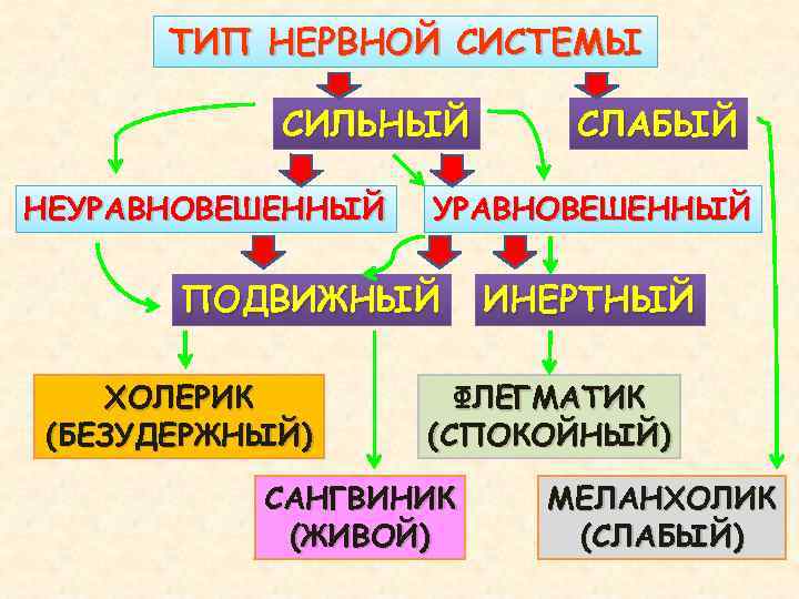 ТИП НЕРВНОЙ СИСТЕМЫ СИЛЬНЫЙ НЕУРАВНОВЕШЕННЫЙ ПОДВИЖНЫЙ ХОЛЕРИК (БЕЗУДЕРЖНЫЙ) СЛАБЫЙ ИНЕРТНЫЙ ФЛЕГМАТИК (СПОКОЙНЫЙ) САНГВИНИК (ЖИВОЙ)