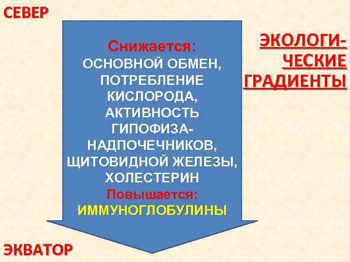 СЕВЕР Снижается: ОСНОВНОЙ ОБМЕН, ПОТРЕБЛЕНИЕ КИСЛОРОДА, АКТИВНОСТЬ ГИПОФИЗАНАДПОЧЕЧНИКОВ, ЩИТОВИДНОЙ ЖЕЛЕЗЫ, ХОЛЕСТЕРИН Повышается: ИММУНОГЛОБУЛИНЫ ЭКВАТОР