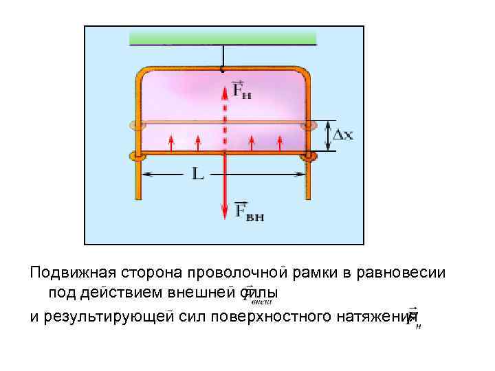 Физика 22. Сила поверхностного натяжения схема. Сила поверхностного натяжения формула направлена. Направление силы поверхностного натяжения. Направление действия силы поверхностного натяжения.